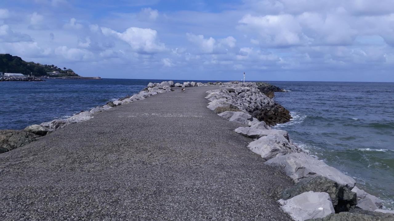 Appartement Les Hirondelles 2Km Plage-Wifi-Jardin-Parking-Draps Et Serviettes Hendaye Bagian luar foto